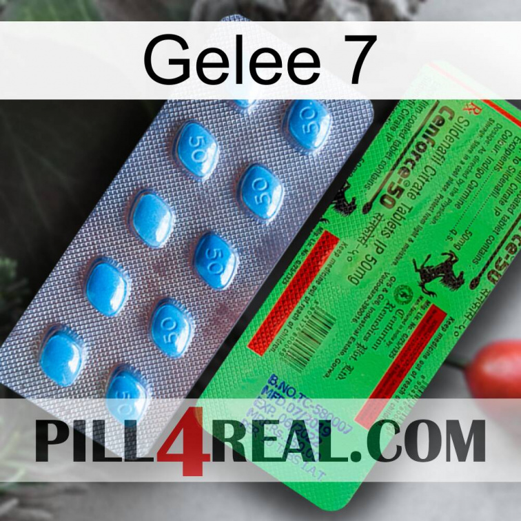 Jelly 7 new03